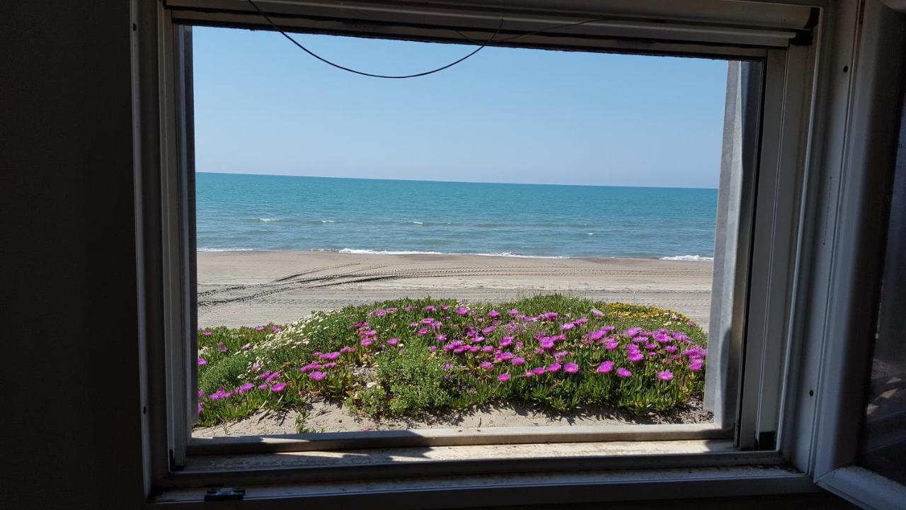 Apartamento Casina Sulla Sabbia Torvaianica Exterior foto
